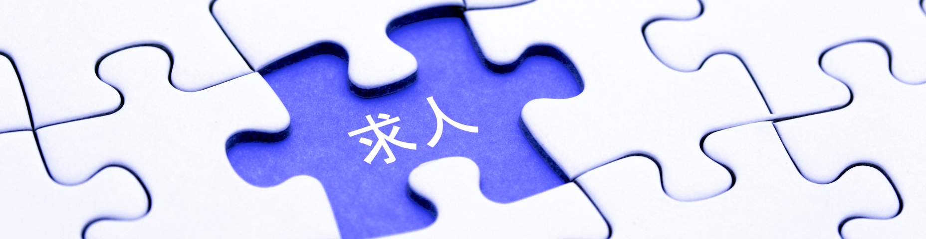 採用情報イメージ